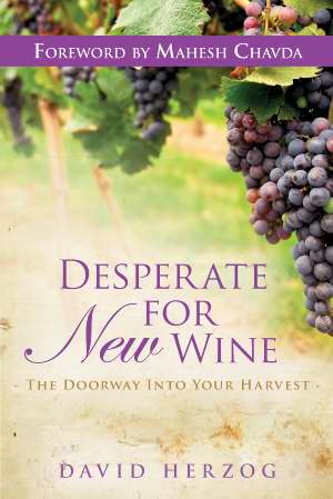 Desperate For New Wine PB - David Herzog